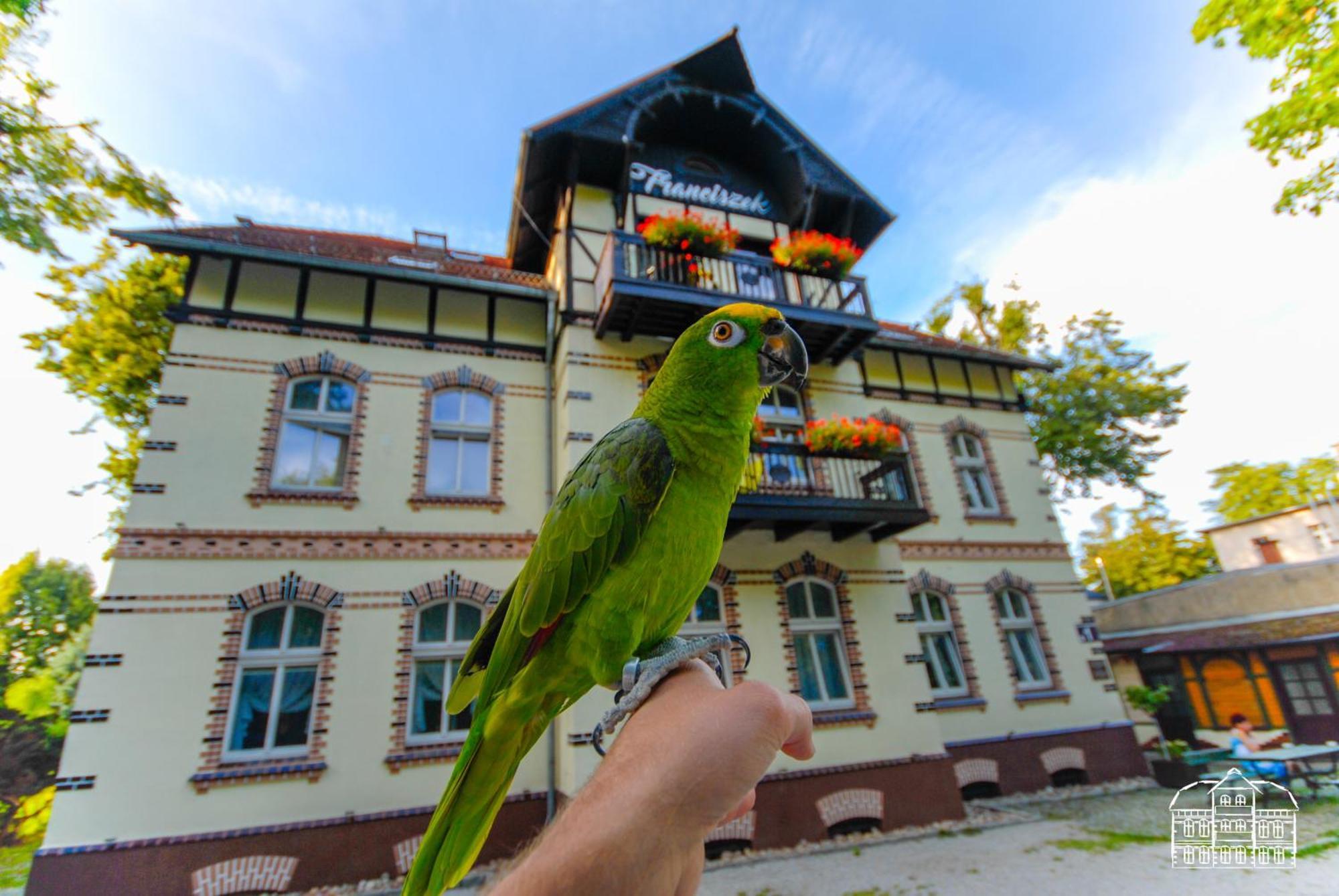 Franciszek Przy Parku Szwedzkim Apartment Щавно-Здруй Екстериор снимка